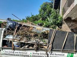 Best Basement Cleanout  in Detroit Beach, MI