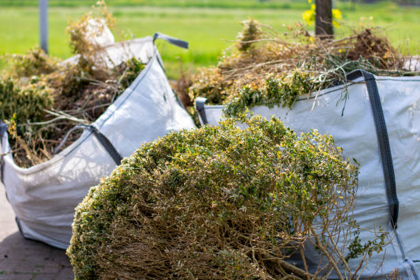 Retail Junk Removal in Detroit Beach, MI
