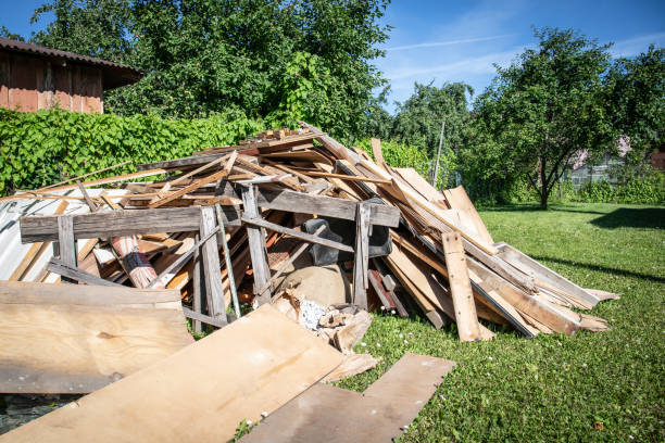 Best Furniture Removal  in Detroit Beach, MI